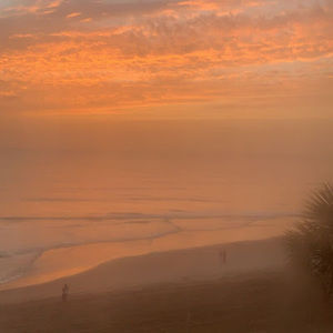 Meet your Posher, Gianna